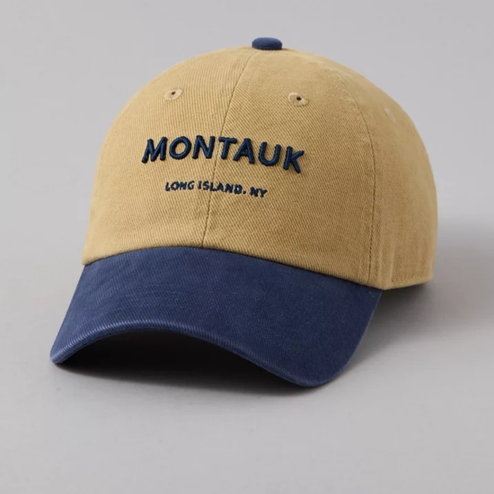 NWT. American Eagle Destination Baseball Hat